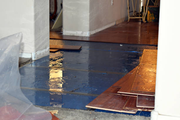 Professional Water Removal technician working in Red House, WV
